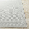 Livabliss Sandra SDR-2302 Light Silver Area Rug Angle