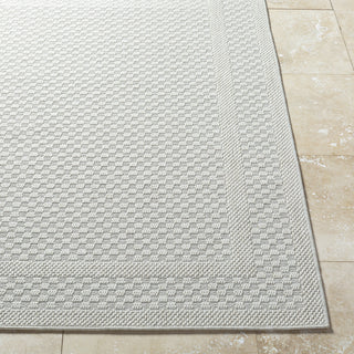 Livabliss Sandra SDR-2302 Light Silver Area Rug Angle