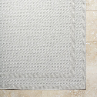 Livabliss Sandra SDR-2302 Light Silver Area Rug Detail Image