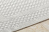 Livabliss Sandra SDR-2302 Light Silver Area Rug Detail
