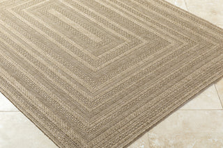 Livabliss Sandra SDR-2304 Prairie Dust Area Rug Corner Shot