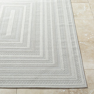 Livabliss Sandra SDR-2305 Light Silver Area Rug Angle