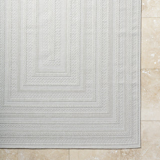 Livabliss Sandra SDR-2305 Light Silver Area Rug Detail Image