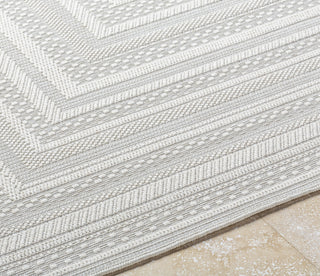 Livabliss Sandra SDR-2305 Light Silver Area Rug Detail