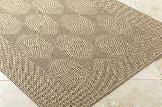Livabliss Sandra SDR-2306 Prairie Dust Area Rug Corner Shot