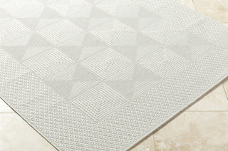 Livabliss Sandra SDR-2307 Light Silver Area Rug Corner Shot
