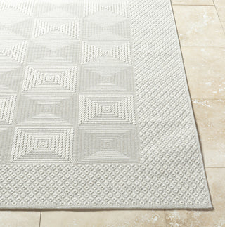 Livabliss Sandra SDR-2307 Light Silver Area Rug Angle