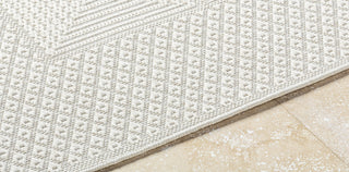 Livabliss Sandra SDR-2307 Light Silver Area Rug Detail