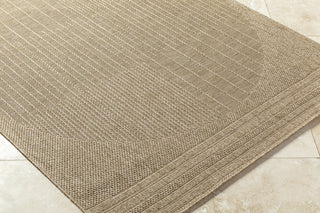 Livabliss Sandra SDR-2308 Prairie Dust Area Rug Corner Shot