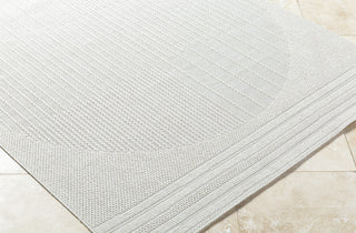 Livabliss Sandra SDR-2309 Light Silver Area Rug Corner Shot