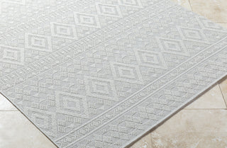 Livabliss Sandra SDR-2310 Light Silver Area Rug Corner Shot