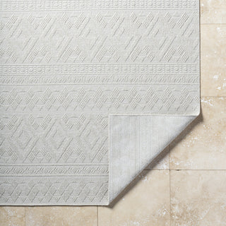 Livabliss Sandra SDR-2310 Light Silver Area Rug Pile