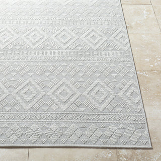Livabliss Sandra SDR-2310 Light Silver Area Rug Angle