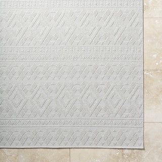 Livabliss Sandra SDR-2310 Light Silver Area Rug Detail Image