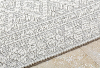 Livabliss Sandra SDR-2310 Light Silver Area Rug Detail
