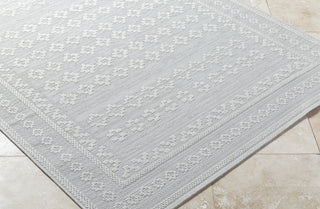 Livabliss Sandra SDR-2311 Light Silver Area Rug Corner Shot