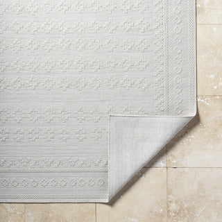 Livabliss Sandra SDR-2311 Light Silver Area Rug Pile