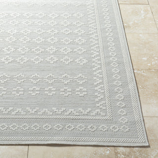 Livabliss Sandra SDR-2311 Light Silver Area Rug Angle