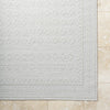 Livabliss Sandra SDR-2311 Light Silver Area Rug Detail Image