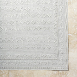 Livabliss Sandra SDR-2311 Light Silver Area Rug Detail Image