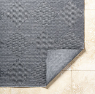 Livabliss Sandra SDR-2312 Nickel Area Rug Pile