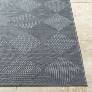 Livabliss Sandra SDR-2312 Nickel Area Rug Angle