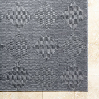 Livabliss Sandra SDR-2312 Nickel Area Rug Detail Image