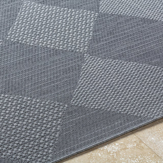 Livabliss Sandra SDR-2312 Nickel Area Rug Detail