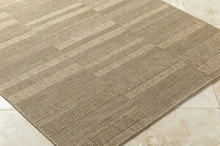 Livabliss Sandra SDR-2313 Prairie Dust Area Rug Corner Shot