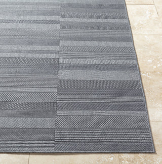 Livabliss Sandra SDR-2314 Nickel Area Rug Angle