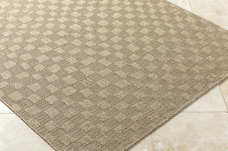 Livabliss Sandra SDR-2315 Prairie Dust Area Rug Corner Shot