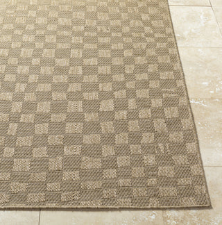 Livabliss Sandra SDR-2315 Prairie Dust Area Rug Angle