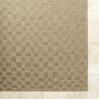 Livabliss Sandra SDR-2315 Prairie Dust Area Rug Detail Image