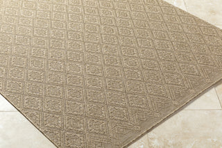 Livabliss Sandra SDR-2317 Prairie Dust Area Rug Corner Shot