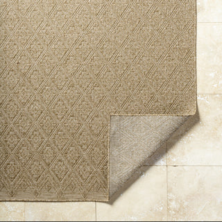 Livabliss Sandra SDR-2317 Prairie Dust Area Rug Pile