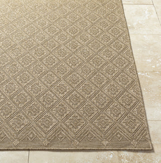 Livabliss Sandra SDR-2317 Prairie Dust Area Rug Angle