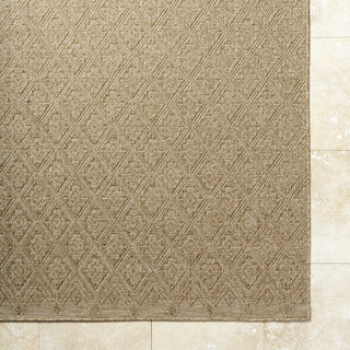 Livabliss Sandra SDR-2317 Prairie Dust Area Rug Detail Image