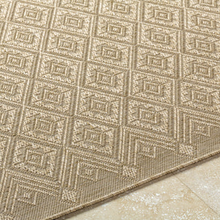 Livabliss Sandra SDR-2317 Prairie Dust Area Rug Detail