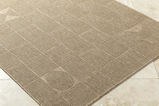 Livabliss Sandra SDR-2319 Prairie Dust Area Rug Corner Shot