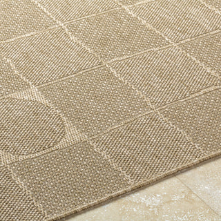 Livabliss Sandra SDR-2319 Prairie Dust Area Rug Detail