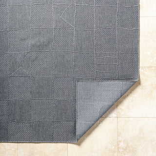 Livabliss Sandra SDR-2320 Nickel Area Rug Pile