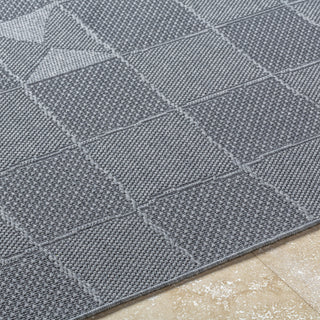 Livabliss Sandra SDR-2320 Nickel Area Rug Detail