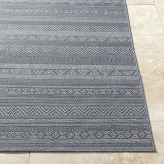 Livabliss Sandra SDR-2321 Nickel Area Rug Angle
