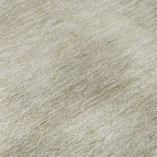 Dalyn Soft Essentials SE1 Beige Machine Washable Area Rug Swatch Image