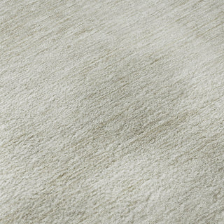 Dalyn Soft Essentials SE1 Ivory Machine Washable Area Rug Swatch Image