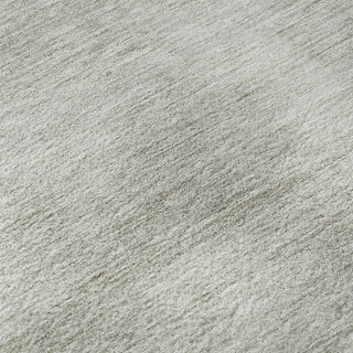 Dalyn Soft Essentials SE1 Linen Machine Washable Area Rug Swatch Image