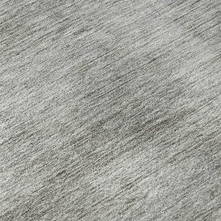 Dalyn Soft Essentials SE1 Silver Machine Washable Area Rug Swatch Image