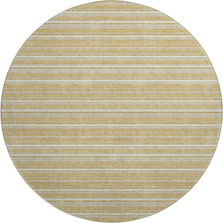 Dalyn Soft Essentials SE2 Gold Machine Washable Area Rug Round Main Image