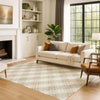 Dalyn Soft Essentials SE3 Ivory Machine Washable Area Rug Lifestyle Image Feature
