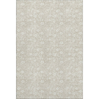 Dalyn Soft Essentials SE4 Beige Machine Washable Area Rug main image
